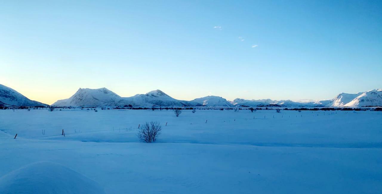 Narnia Lodge Lofoten Gimsoy Buitenkant foto